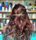 DNA double helix Hair Slide Hair pin scientist hairpin