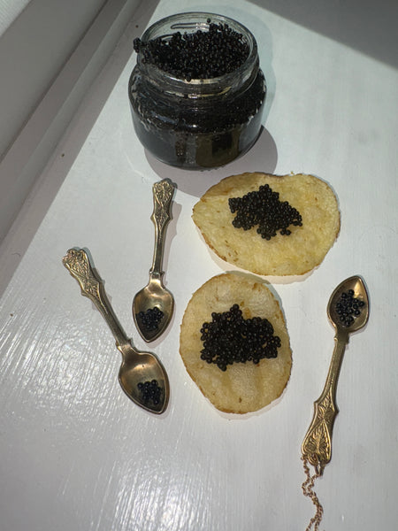 Brass caviar spoon earrings