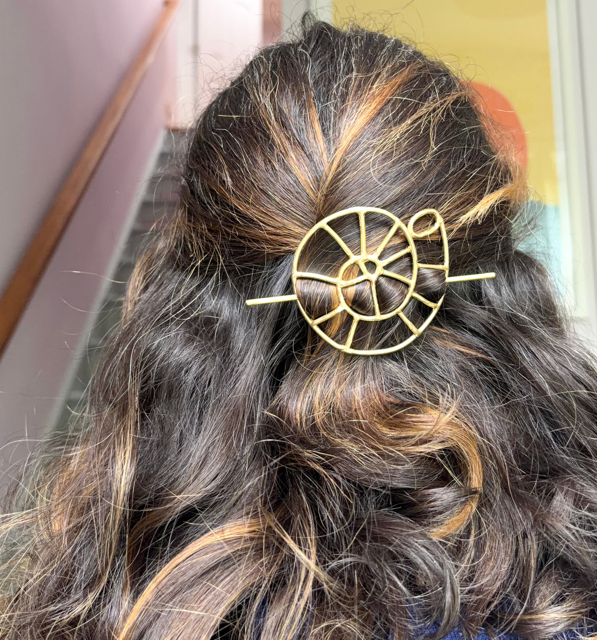 One of a Kind Nautilus Shell Hair Pin in Solid Bass